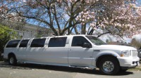 Royal Limousine Service image 27